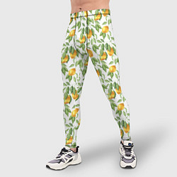 Тайтсы мужские Лимоны на ветках - паттерн, цвет: 3D-принт — фото 2