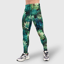 Тайтсы мужские Суккуленты акварель- паттерн, цвет: 3D-принт — фото 2