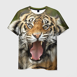 Футболка мужская Удивленный тигр, цвет: 3D-принт