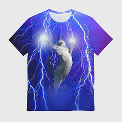 Мужская футболка Грозовой кошак