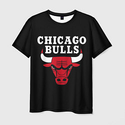 Футболка мужская CHICAGO BULLS, цвет: 3D-принт