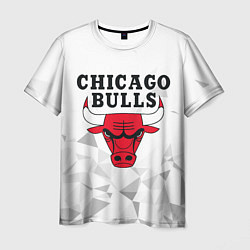 Футболка мужская CHICAGO BULLS, цвет: 3D-принт