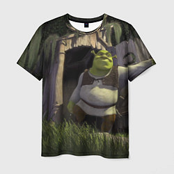 Футболка мужская Shrek: Somebody Once Told Me, цвет: 3D-принт