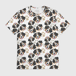 Мужская футболка Зенненхунд Бернский