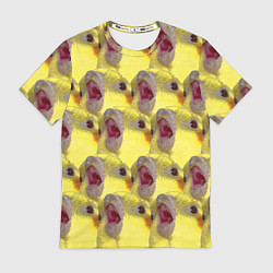 Футболка мужская Попугай Корелла Орёт Мем, цвет: 3D-принт