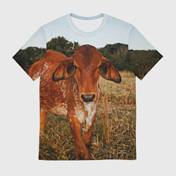 Мужская футболка Коровка на поле