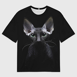 Мужская футболка оверсайз Сфинкс 2