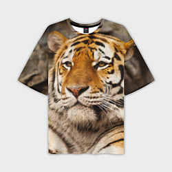 Мужская футболка оверсайз Мудрый тигр