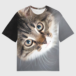 Футболка оверсайз мужская Кошачий взгляд, цвет: 3D-принт