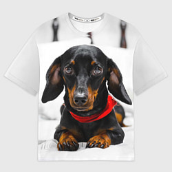 Футболка оверсайз мужская Милая такса, цвет: 3D-принт