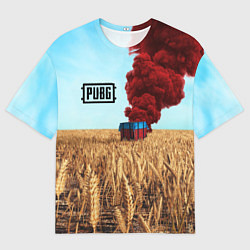 Футболка оверсайз мужская PUBG Box, цвет: 3D-принт