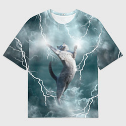 Мужская футболка оверсайз Грозовой кошак