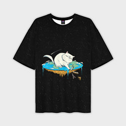 Мужская футболка оверсайз Flat earth Cat