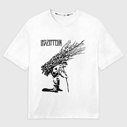 Футболка оверсайз мужская Led Zeppelin IV, цвет: 3D-принт
