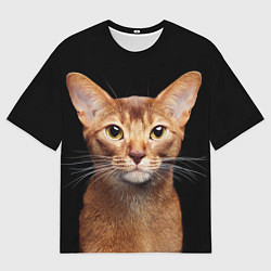 Мужская футболка оверсайз Молодая абиссинская кошечка