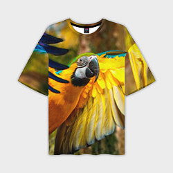 Футболка оверсайз мужская Взлёт попугая, цвет: 3D-принт