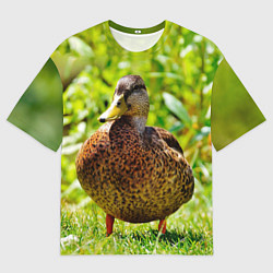 Футболка оверсайз мужская Утка Кряква, цвет: 3D-принт