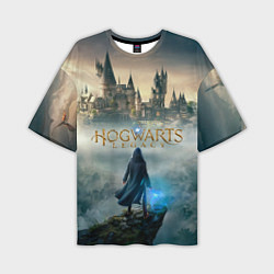 Футболка оверсайз мужская Герой Hogwarts legacy, цвет: 3D-принт
