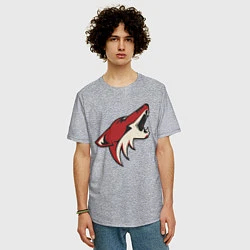 Футболка оверсайз мужская Phoenix Coyotes, цвет: меланж — фото 2