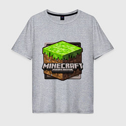 Футболка оверсайз мужская Minecraft: Pocket Edition, цвет: меланж