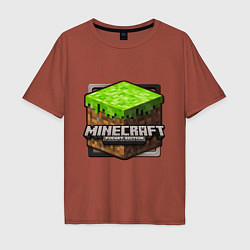 Футболка оверсайз мужская Minecraft: Pocket Edition, цвет: кирпичный