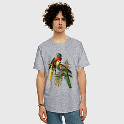 Футболка оверсайз мужская Тропические попугаи, цвет: меланж — фото 2