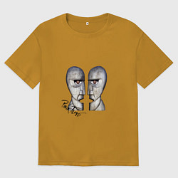 Мужская футболка оверсайз Pink Floyd