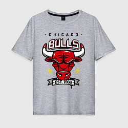 Мужская футболка оверсайз Chicago Bulls est. 1966