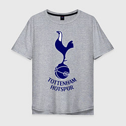 Футболка оверсайз мужская Tottenham FC, цвет: меланж