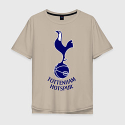 Футболка оверсайз мужская Tottenham FC, цвет: миндальный