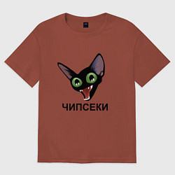 Футболка оверсайз мужская Чипсеки: кот-мем, цвет: кирпичный