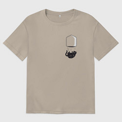 Мужская футболка оверсайз Кот