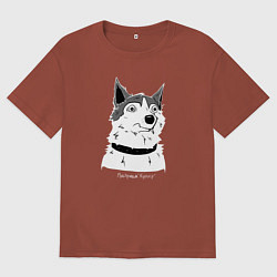 Мужская футболка оверсайз Курьер - Шарик