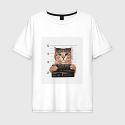 Мужская футболка оверсайз Арестованный кот