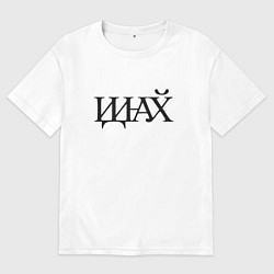 Мужская футболка оверсайз Иди нафик