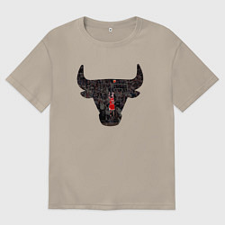 Мужская футболка оверсайз Bulls - Jordan