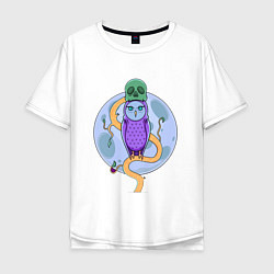 Мужская футболка оверсайз Colorful Owl