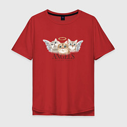 Мужская футболка оверсайз Кошки ангелы