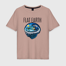 Мужская футболка оверсайз The Flat Earth