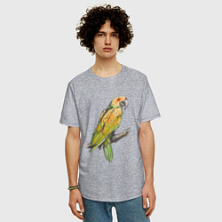 Футболка оверсайз мужская Любимый попугай, цвет: меланж — фото 2