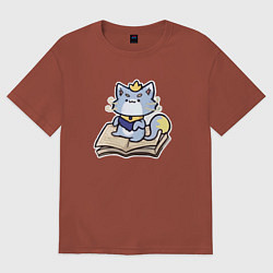Футболка оверсайз мужская The Magical Cat Yuumi, цвет: кирпичный