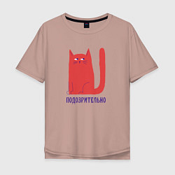 Мужская футболка оверсайз Подозрительный кот