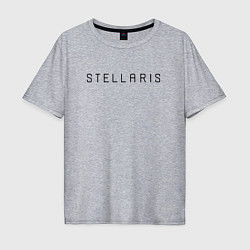 Футболка оверсайз мужская Stellaris Черное лого, цвет: меланж