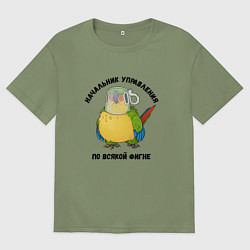 Мужская футболка оверсайз Начальник всякой фигни