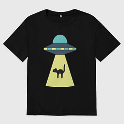 Мужская футболка оверсайз Похищение кота