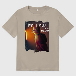 Мужская футболка оверсайз STRAY FOLLOW MEOW