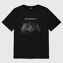 Футболка оверсайз мужская Не дружелюбный кот, цвет: черный