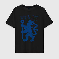 Футболка оверсайз мужская FC Chelsea Lion, цвет: черный