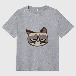 Мужская футболка оверсайз Мем недовольный кот