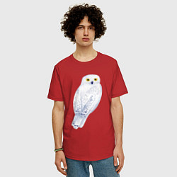 Футболка оверсайз мужская Белая полярная сова, цвет: красный — фото 2